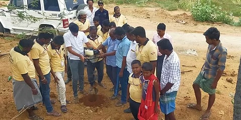 நெல்லை: வார விடுமுறை நாளை பனைமர விதை நடு நாளாக மாற்றிய தன்னார்வ இளைஞர்கள்