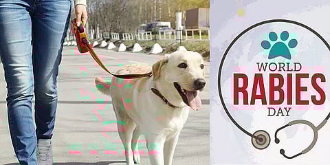 உலக ரேபிஸ் தினம்: ரேபிஸ் தாக்கிய மனிதர்களால் பிழைக்க முடியுமா? - மருத்துவர் விளக்கம்
