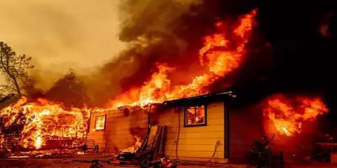 கலிபோர்னியா: பெண்ணின் வாழ்வில் விளையாடிய Butterfly effect-பற்றி எரிந்த 10,000 ஏக்கர் காடு