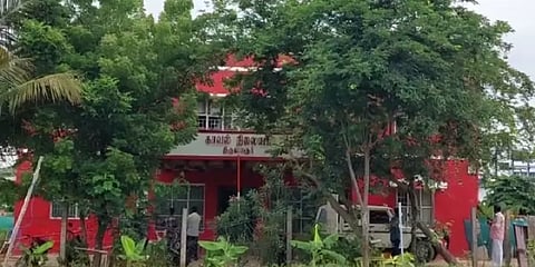 திருவாரூர்: வெட்டப்பட்ட பனை மரங்கள்.. தடுத்து நிறுத்திய பொதுமக்கள் - விசாரணையில் திருப்பம்