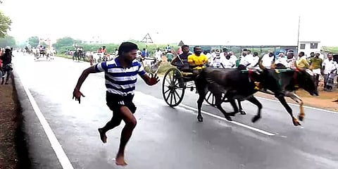 விளாத்திகுளம்: மாட்டுவண்டி போட்டியில் நீயா நானா என சீறிப்பாய்ந்த காளைகள்