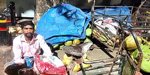 சாலையோர கடைகளில் இளநீர் திருடியே தனி கடை - கோயில் காளை பட பாணியில் சென்னையில் ஒரு சம்பவம்