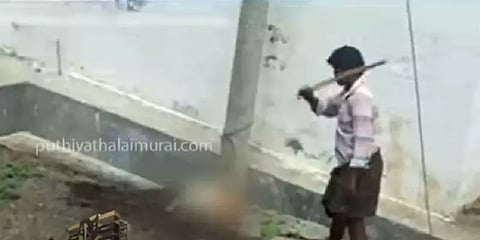 கோவை: வளர்ப்பு நாயை கொடூரமாக தாக்கிய நபர் கைது