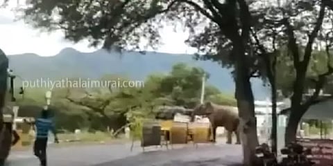 வாகனத்தில் கரும்பு இல்லாத ஆத்திரத்தில் காவலர், ஓட்டுநரை ஆக்ரோஷமாக விரட்டிய காட்டு யானை