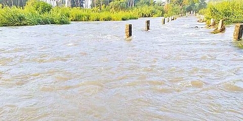 திருத்தணியில் 5 தரைப் பாலங்களை மூழ்கடித்துச் செல்லும் வெள்ளம்