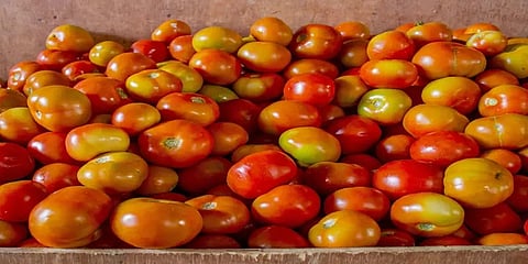 கோயம்பேடு: தக்காளி விலை 3 மடங்கு அதிகரிப்பு - பொதுமக்கள் அவதி