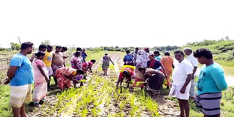 திருவாரூர்: சாலையை சீரமைக்கக் கோரி சேறும் சகதியுமான சாலையில் நாற்றுநட்டுப் போராட்டம்