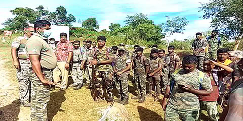 கால் தடத்தை பின்தொடர்ந்து T23 புலியை தேடும் ’டிராக்கர்ஸ்’ -யார் இவர்கள்? என்ன செய்வார்கள்?