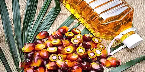 இறக்குமதி கச்சா சமையல் எண்ணெய்கான வரியை குறைத்தது மத்திய அரசு