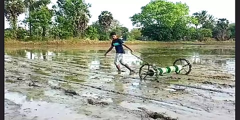 சீர்காழி: நவீன கருவியை பயன்படுத்தி நெல் விதைப்பில் ஈடுபட்ட பொறியியல் பட்டதாரி சகோதரர்கள்