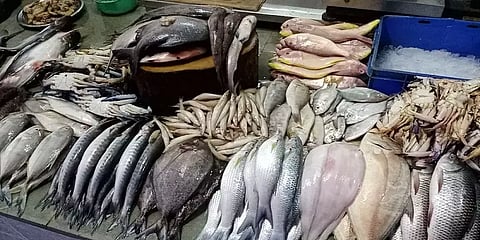 கடலூர் துறைமுகத்தில் மீன்கள் வாங்க குவிந்த ஆயிரக்கணக்கான சிறுவியாபாரிகள், பொதுமக்கள்