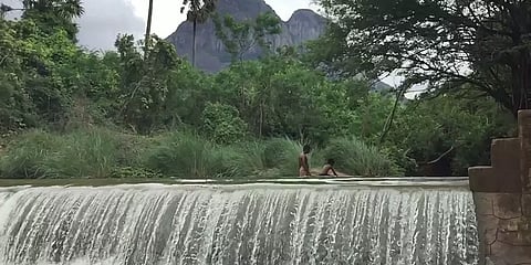 நெல்லை: பணகுடி கன்னிமராதோப்பில் பெருக்கெடுத்து ஓடும் வெள்ளம்