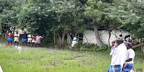 திருவாரூர்: வயலில் அறுந்து கிடந்த மின் கம்பியை மிதித்த பெண் பரிதாபமாக உயிரிழப்பு