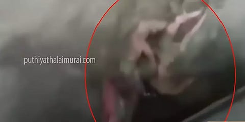 கேரளா: வெள்ளத்தில் சிக்கிய சிறுவனை மீட்ட பேருந்து ஓட்டுநர், நடத்துனர்