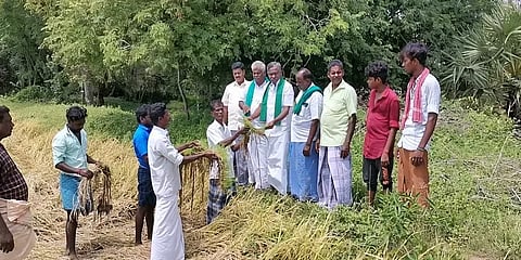 மழையால் முளைத்த பயிர்களுக்கு இழப்பீடு வேண்டும் - விவசாய சங்கம் வேதனையுடன் கோரிக்கை