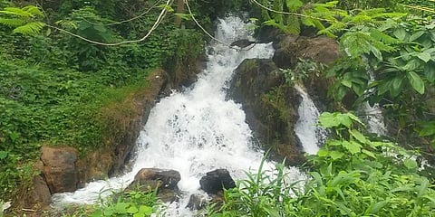 தமிழக கேரள எல்லை சாலைகளில் கனமழையால் உருவான கண்கவர் குட்டி அருவிகள்