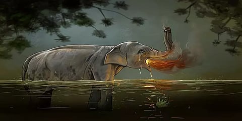 பழத்தில் வெடி வைத்து கர்ப்பிணி யானையை கொன்ற விவகாரம்: ஓராண்டுக்கு பிறகு சரணடைந்த குற்றவாளி