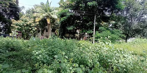 புதர்மண்டி கிடக்கும் போச்சம்பள்ளி வட்டாட்சியர் அலுவலகத்தை சீரமைக்க கோரி மக்கள் கோரிக்கை