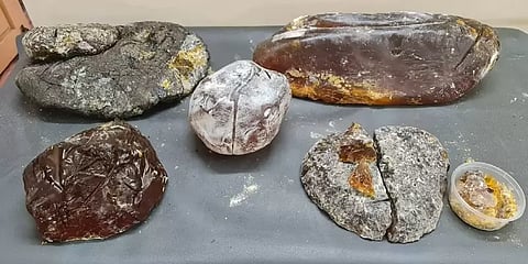 திருத்துறைப்பூண்டி: ரூ.8 கோடி மதிப்பிலான திமிங்கலத்தின் உமிழ்நீர் பறிமுதல்