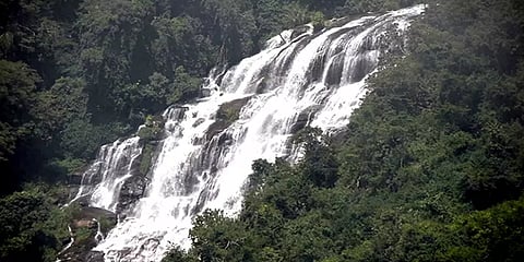 தொடர் மழை: அடர்ந்த வனத்தில் ஆர்பரித்துக் கொட்டும் கொடைக்கானல் முலையாறு அருவி