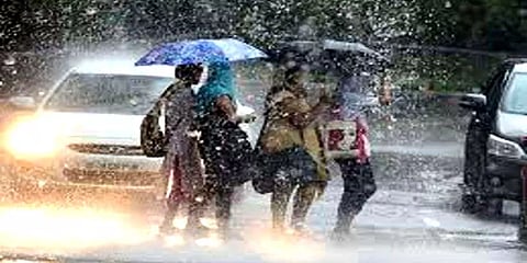 தமிழ்நாட்டின் பல்வேறு மாவட்டங்களில் பரவலாக பெய்த கனமழை