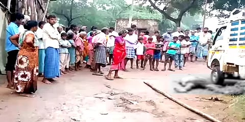 விருதுநகர்: அறுந்து கிடந்த மின்கம்பியை தொட்ட இளைஞர் பரிதாபமாக உயிரிழப்பு