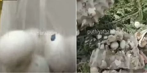 திருப்பூர்: கெட்டுப்போன முட்டை விநியோகம் செய்ததாக புகார் - சத்துணவு அமைப்பாளர் சஸ்பெண்ட்