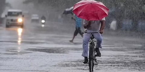 தமிழகம் முழுவதும் பல மாவட்டங்களில் பரவலாக பெய்து வரும் தொடர் மழை