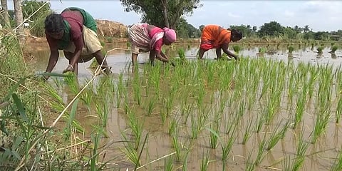எளியோரின் வலிமைக் கதைகள் 2 - "மூணு வருஷத்துல ரூ.10 லட்சம் போனாலும் விவசாயத்தை கைவிடல!"