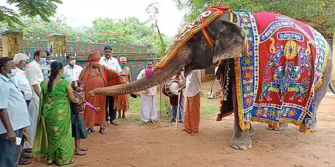 சிவகங்கை: யானையை வைத்து மாணவர்களை உற்சாகமாக வரவேற்ற குன்றக்குடி அரசு தொடக்கப் பள்ளி