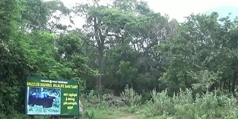 விருதுநகர்: ராஜபாளையம் அருகே மேற்குத் தொடர்ச்சி மலை வனப்பகுதியில் இறந்து கிடந்த யானை