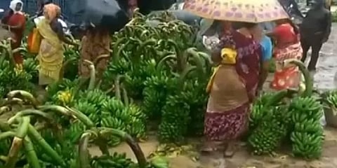 கடலூரில் ரூ.400க்கு விற்கப்பட வேண்டிய வாழைத்தார்கள் ரூ.40க்கு விற்பனை; விவசாயிகள் வேதனை