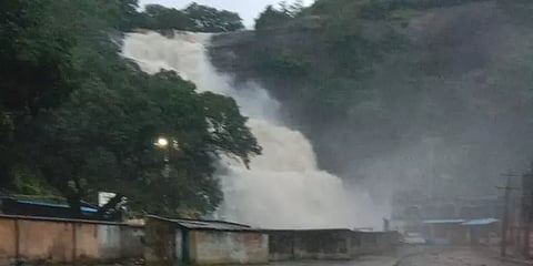 மேற்குத் தொடர்ச்சி மலைகளில் பெய்யும் கனமழை - குற்றால அருவிகளில் கடும் வெள்ளப்பெருக்கு