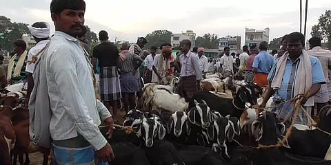 தீபாவளியை முன்னிட்டு அதிகரித்த ஆடு விற்பனை: விற்பனை விலை உயந்ததால் ஆடுவளர்ப்போர் மகிழ்ச்சி