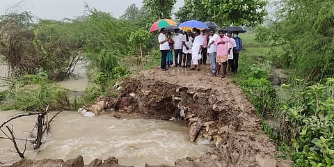 திருவாரூர்: தொடர்ந்து பெய்யும் கனமழையால் 20,000 ஏக்கர் சம்பா சாகுபடி பாதிப்பு