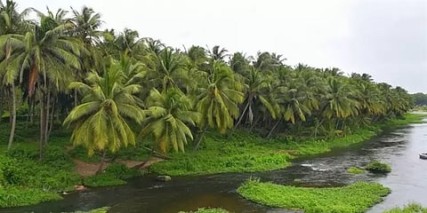 பொள்ளாச்சி : பாலாற்று படுகை வெள்ளப்பெருக்கில் சிக்கியவர்கள் பத்திரமாக மீட்பு