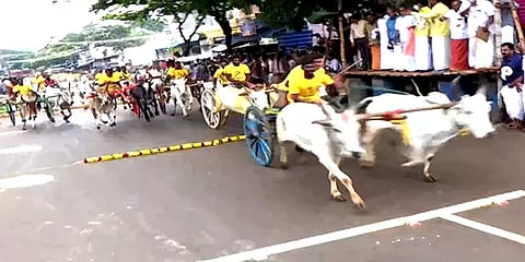 கம்பம்: இரட்டை மாட்டுவண்டி பந்தயம்: தடதடவென ஓடி பரிசை தட்டிச்சென்ற மாடுகள்