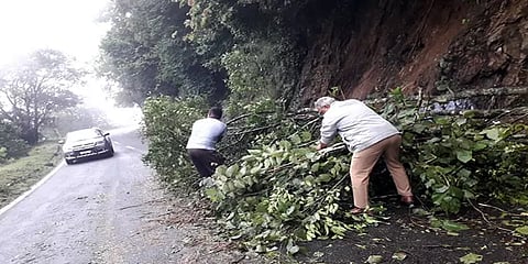 தொடர் மழை: திம்பம் மலைப்பாதையில் மண்சரிவு: மரங்கள் விழுந்ததால் போக்குவரத்து பாதிப்பு