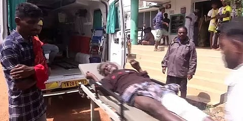 புதுக்கோட்டை: மஞ்சுவிரட்டு போட்டியில் ஒருவர் உயிரிழப்பு; 100-க்கும் மேற்பட்டோர் காயம்