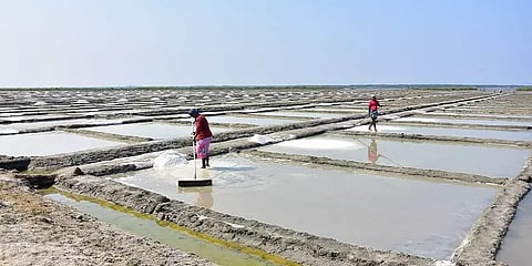 எளியோரின் வலிமைக் கதைகள் 3 - "உப்பளத்துல உழைக்கிறவங்களுக்கு பெருசா ஒண்ணும் கிடைப்பதில்லை!"