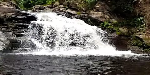 தேனி: போடி பகுதியில் பெய்யும் தொடர் மழையால் ஆர்பரித்துக் கொட்டும் அருவி