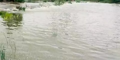 தொடர் கனமழை - விழுப்புரம், கடலூரில் நிரம்பும் நீர்நிலைகள்