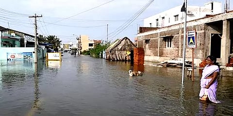 "வீடுகளுக்குள் ஊர்வன வகை உயிரினங்கள் வந்தால்" - தொடர்பு எண்களை அறிவித்தது பேரிடர் மேலாண்மை