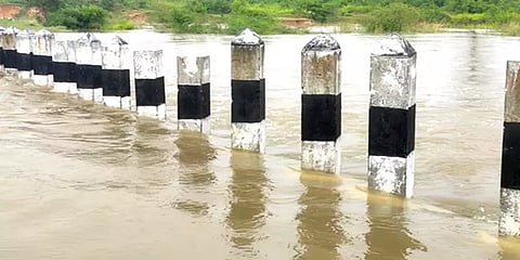 விழுப்புரம்: கன மழையால் தடுப்பணையில் உடைப்பு - நீரில் மூழ்கி நெற்பயிர்கள் சேதம்