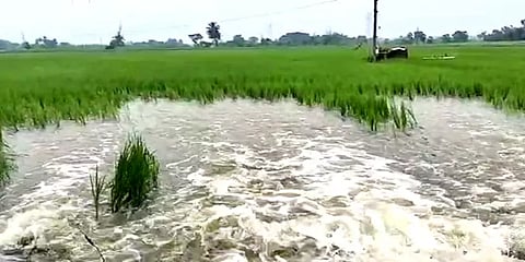 தமிழகத்தின் பல மாவட்டங்களில் கொட்டி தீர்க்கும் கனமழை - இயல்பு வாழ்க்கை பாதிப்பு