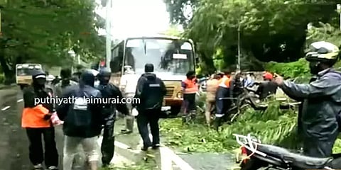 சென்னை: கிண்டி அருகே சாலையில் விழுந்த மரம் - இருசக்கர வாகனத்தில் சென்ற பெண்ணிற்கு காயம்