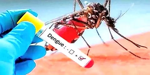 பருவமழை எதிரொலி: மதுரையில் ஒரு மாதத்தில் 47 பேருக்கு டெங்கு