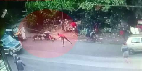 கேரளா: இளம் பெண்ணை கடித்துக் குதறிய நாய்கள் - உரிமையாளர் கைது