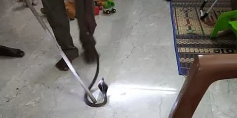 ஏசிக்குள் கையை விட்ட முதியவர்.. பதுங்கியிருந்த நல்லபாம்பு கடித்ததால் நேர்ந்த விபரீதம்