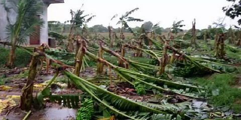 தமிழ்நாட்டில் மழை பாதிப்புகளை ஆய்வுசெய்ய வருகை தரும் மத்திய குழு அறிவிப்பு